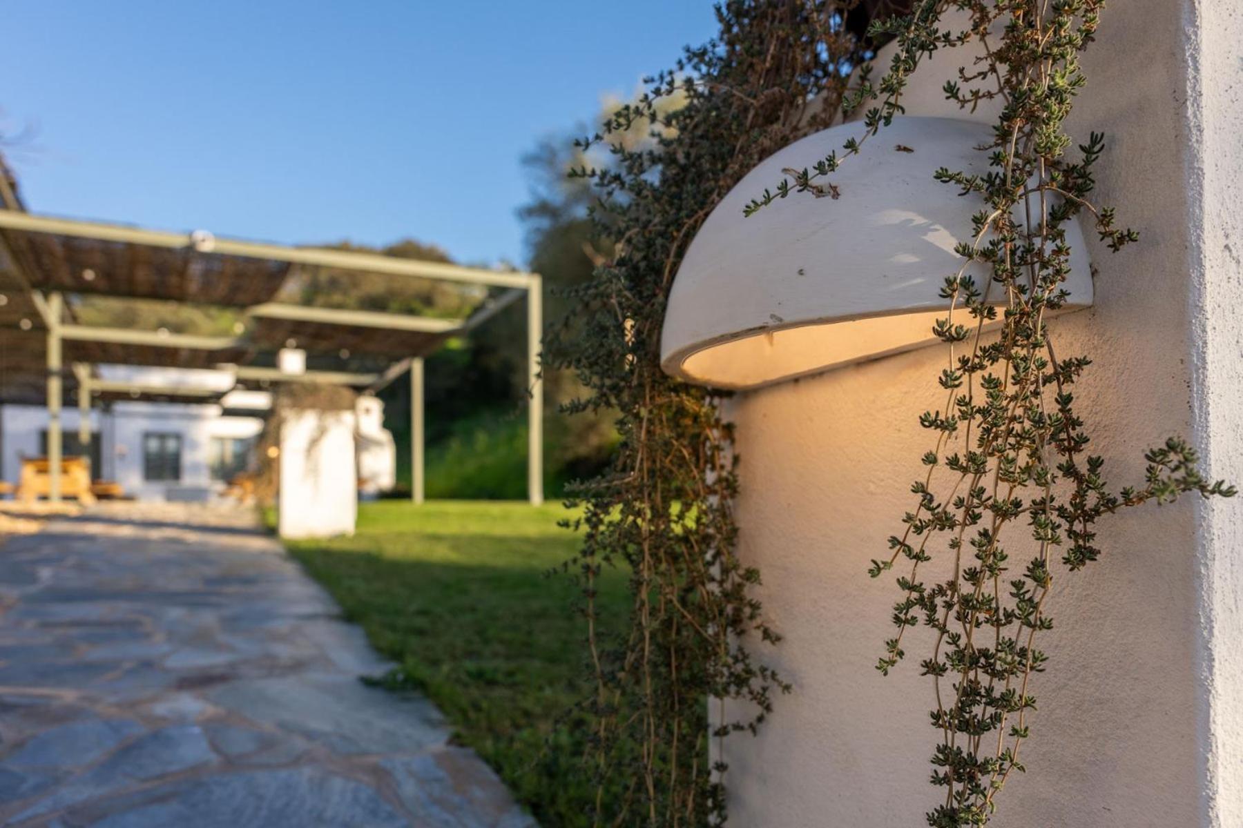 Apartamentos, Finca Contrabando Sanlucar Del Guadiana, Huelva Sanlúcar de Guadiana Extérieur photo